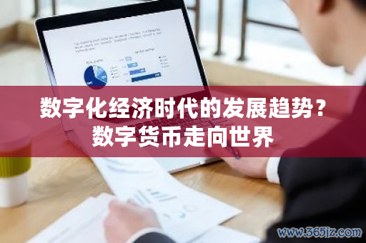 数字货币怎么投资_孙正义投资数字货币有哪些_数字货币资产化的趋势：如何影响投资者的决策与市场动态